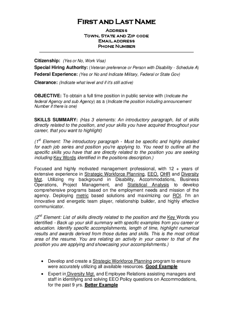 2024 Resume Template Fillable, Printable PDF & Forms Handypdf