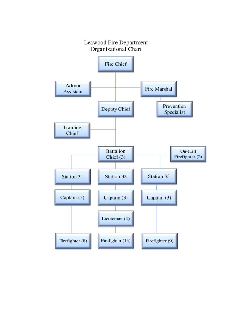 2023 Fire Department Organizational Chart Fillable Printable Pdf 8601