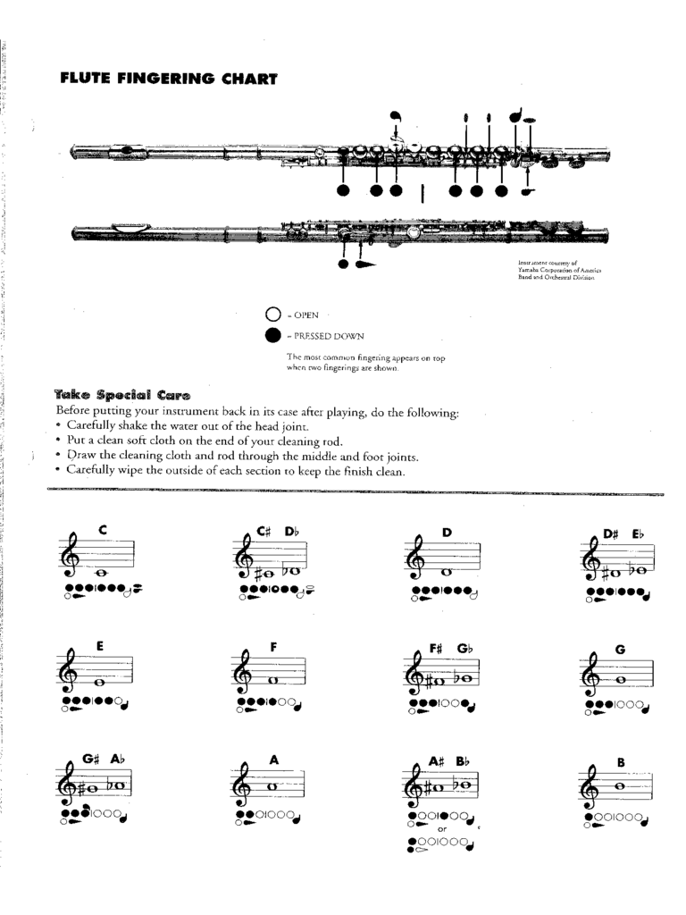 Flute Fingering Chart Sample