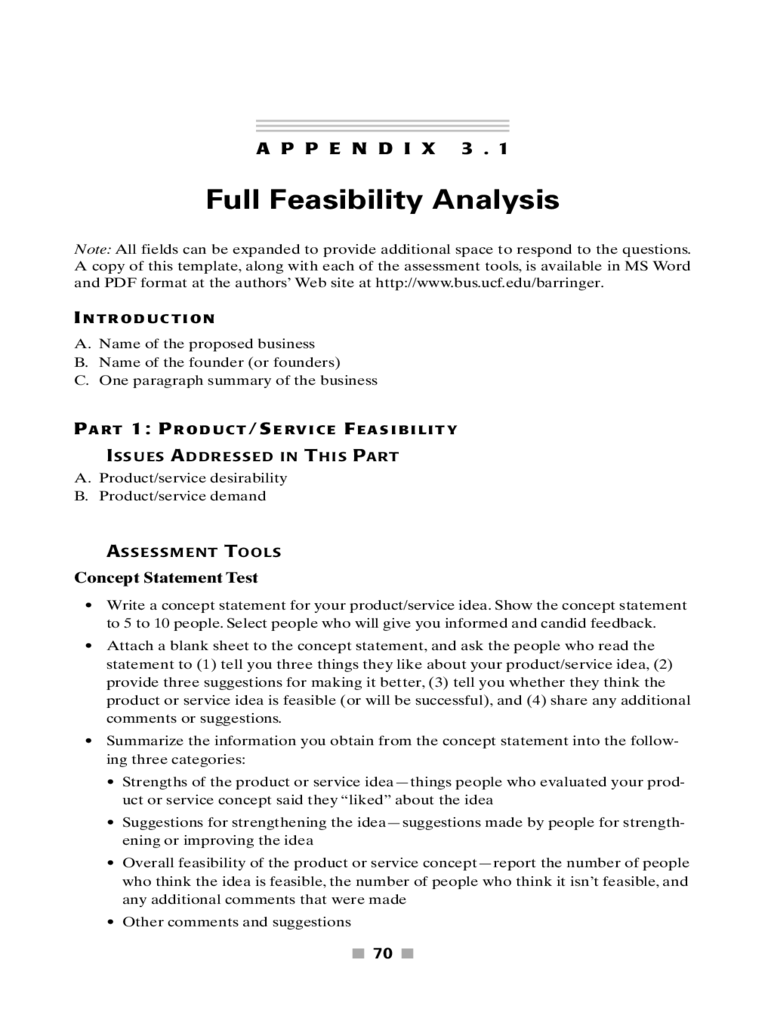 2025 Feasibility Analysis Template Fillable Printable PDF Forms 