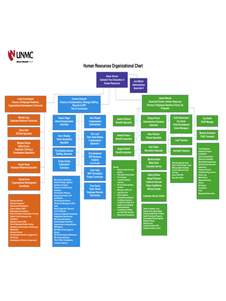 Human Resources Organizational Chart Example