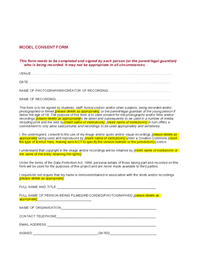 Model Consent Form Template