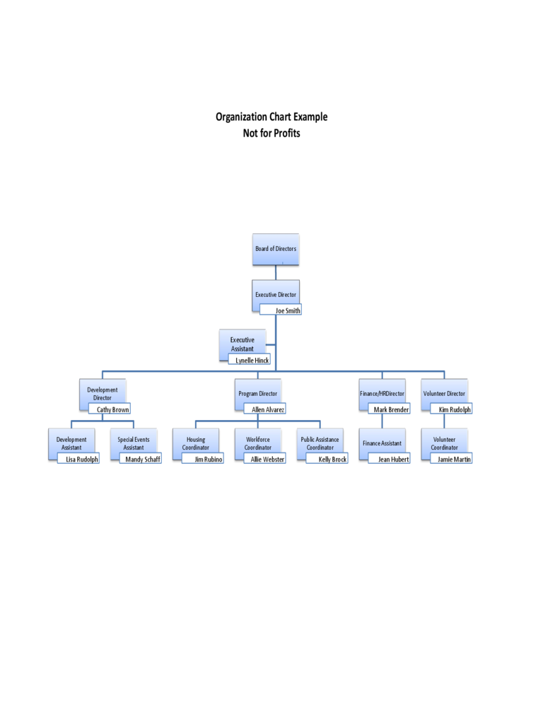 Non-Profit Organizational Chart Example
