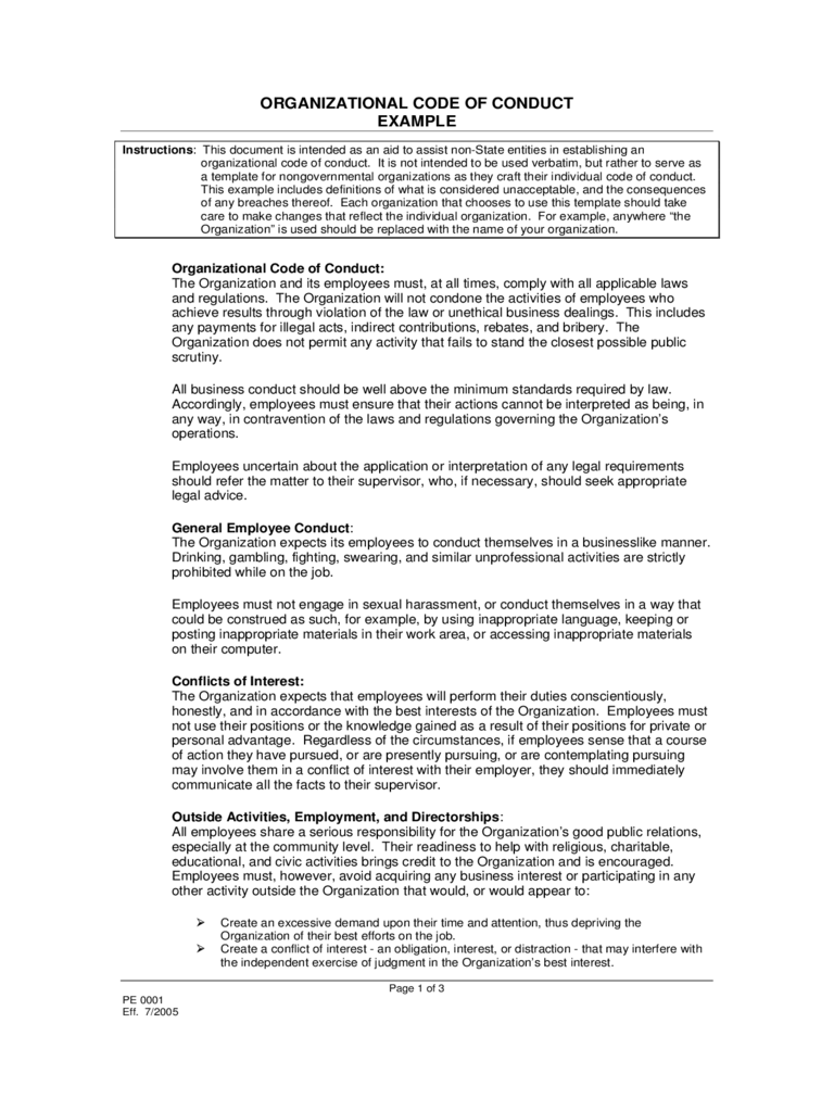 2024-code-of-conduct-example-fillable-printable-pdf-forms-handypdf