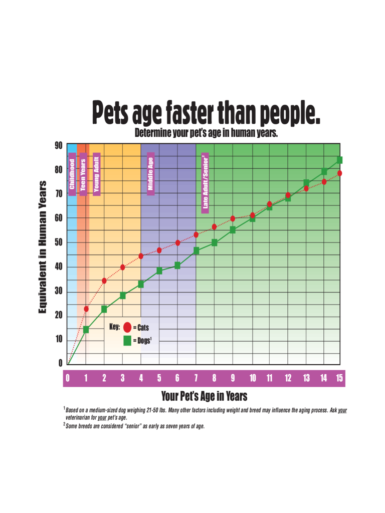 Pet Aging Chart