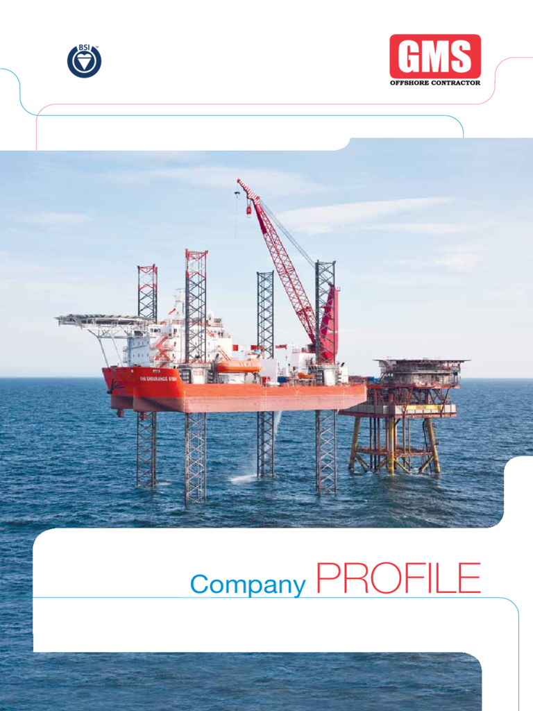 Professional Company Profile Sample