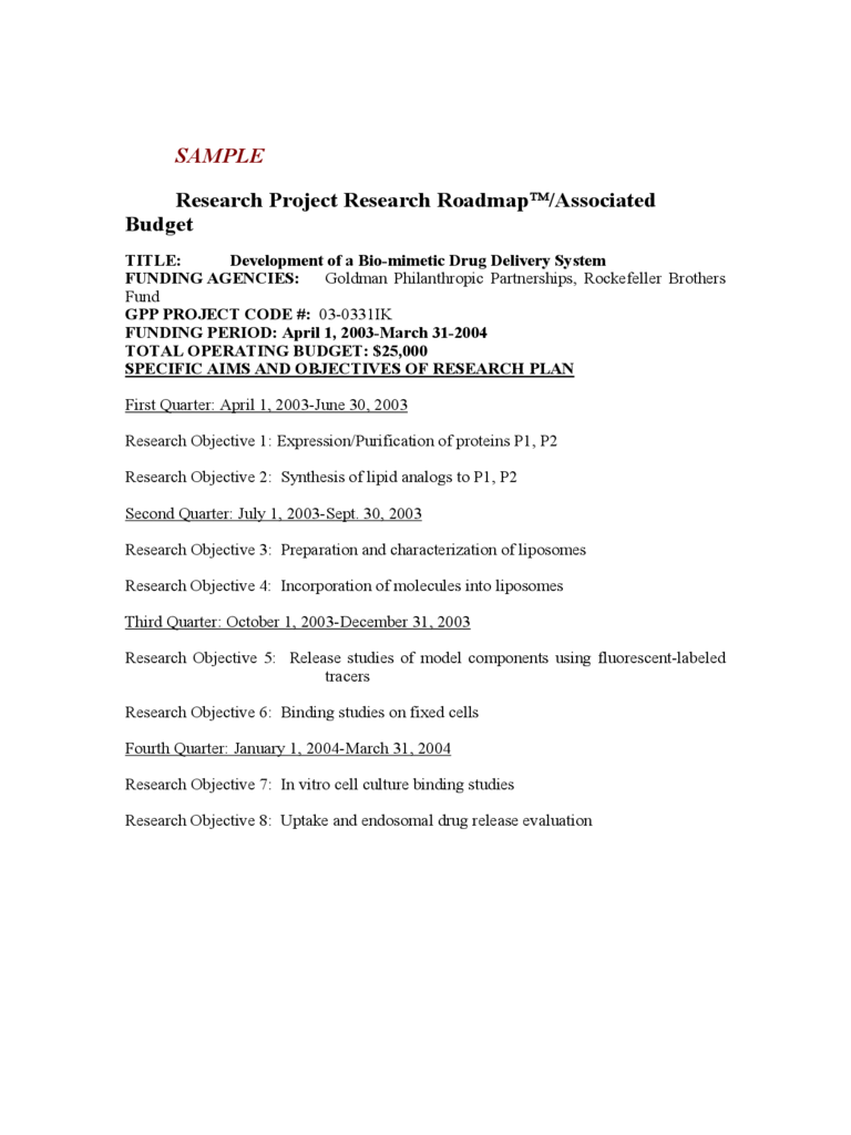 Project Research Roadmap Template