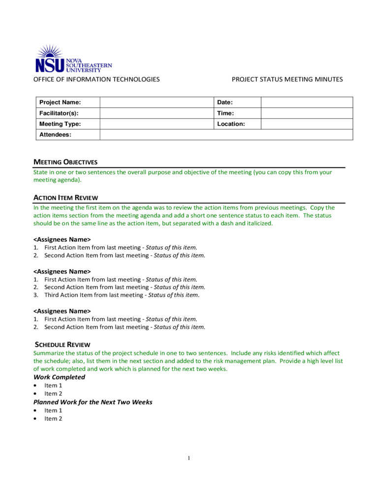 Project Status Meeting Minutes Template