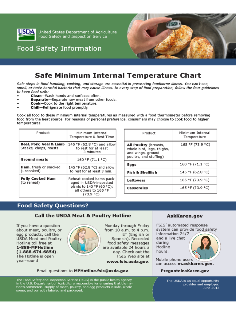 2024 Food Temperature Chart Template Fillable Printable PDF Forms Handypdf