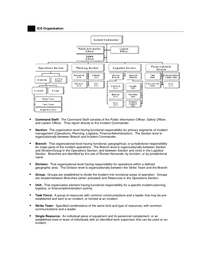 Sample Chart for ICS Organization