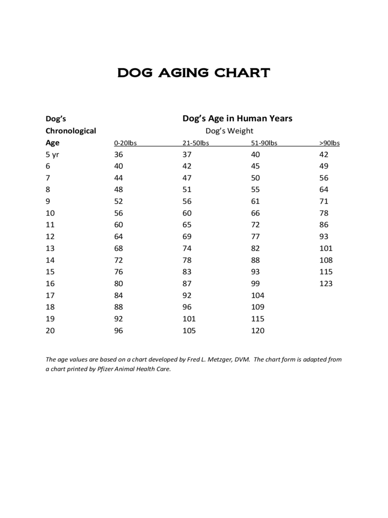 Sample Dog Aging Chart