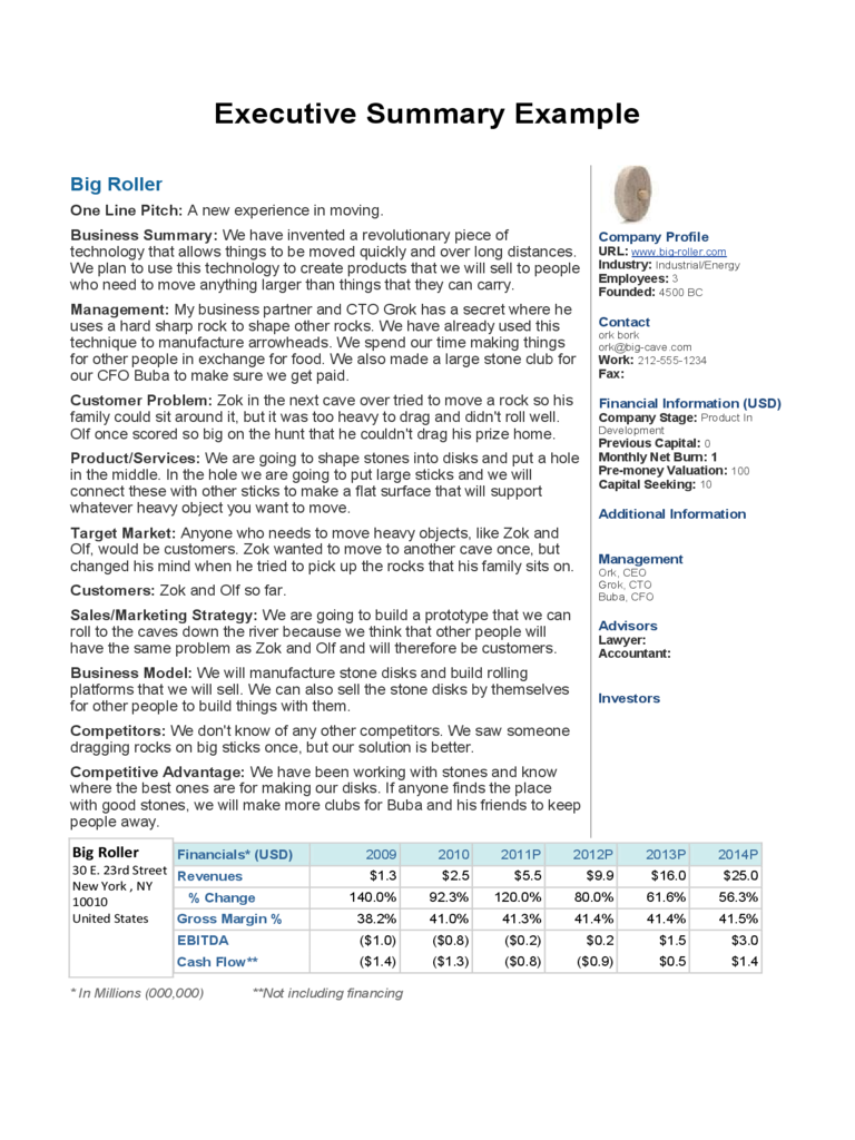 executive summary business plan sample pdf