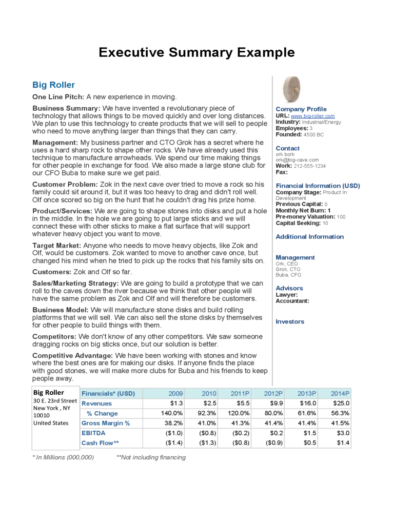 2023 Executive Summary Template Fillable, Printable PDF & Forms