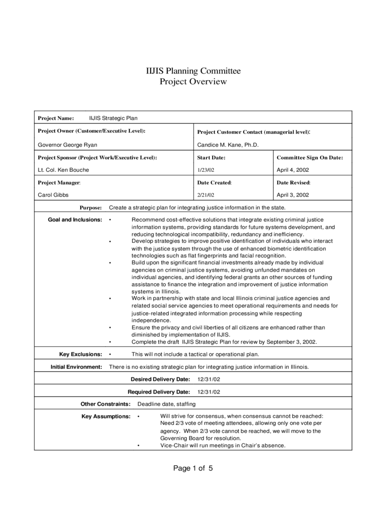 2024 Project Overview Template Fillable Printable PDF Forms Handypdf