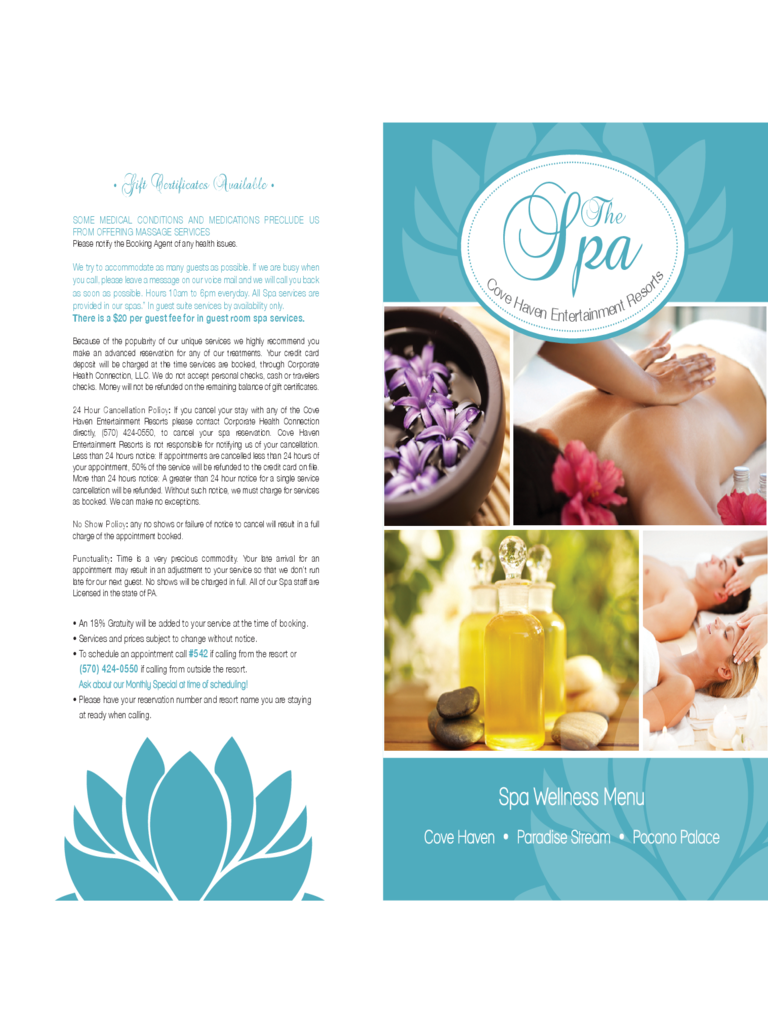 Standard Spa Menu Template Edit Fill Sign Online Handypdf