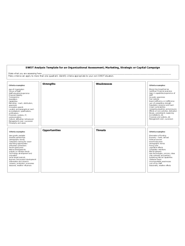 SWOT Analysis Template for an Organizational Assessment; Marketing, Strategic or Capital Campaign