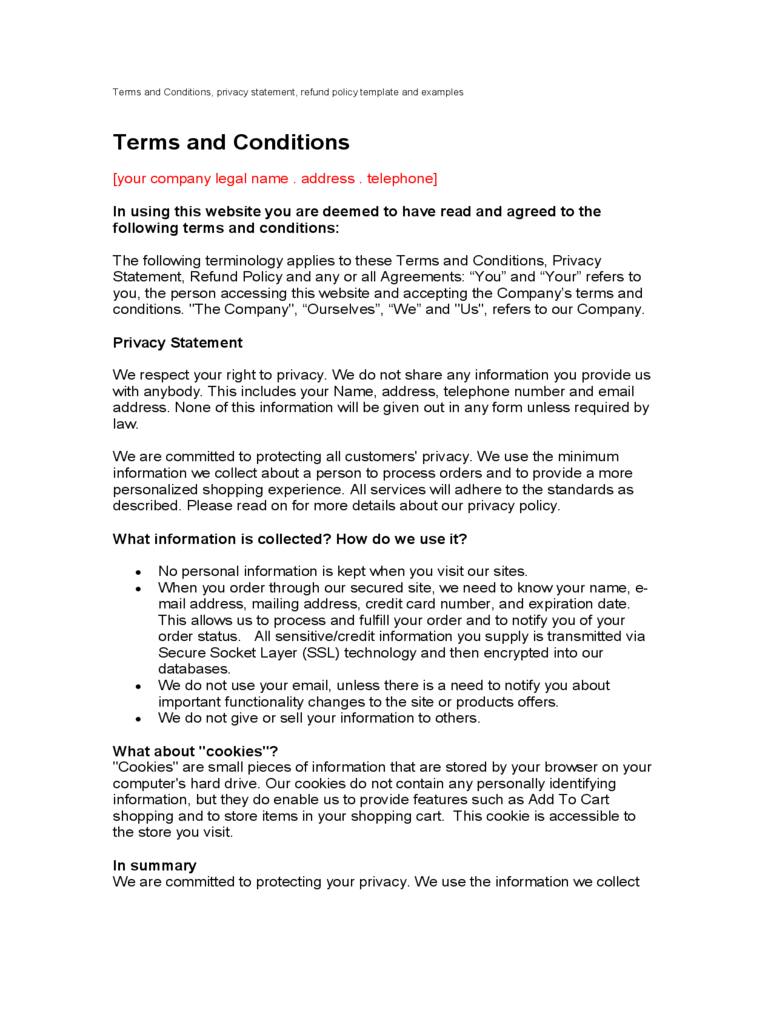 Terms and Conditions Example