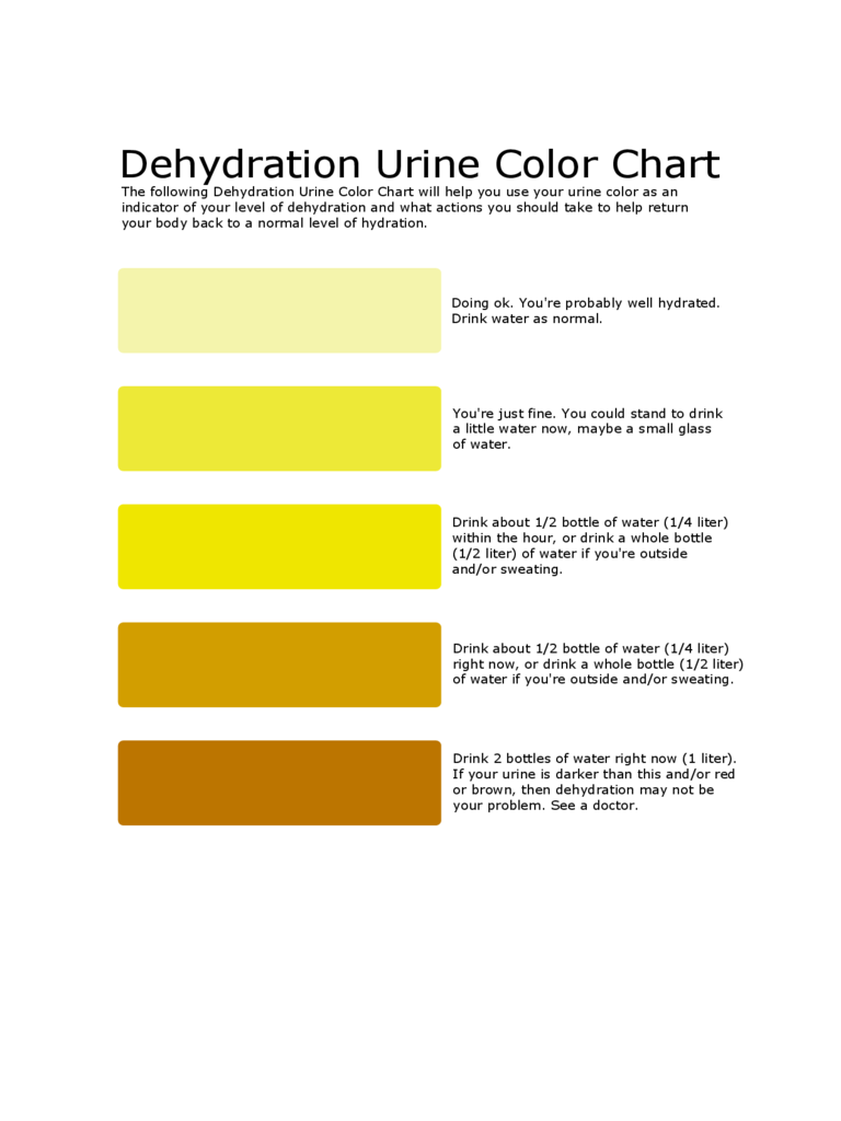 Urine Color Chart Sample