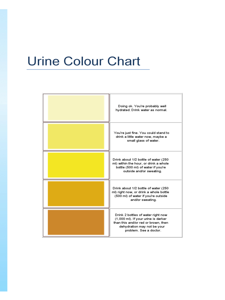 Urine Color Guide Chart