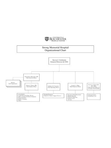 Organizational Chart For Hospital