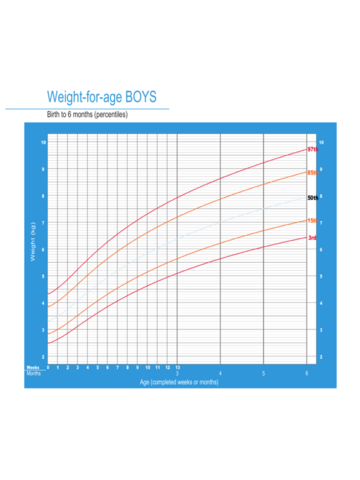 2024 Weight Chart for Boys - Fillable, Printable PDF & Forms | Handypdf