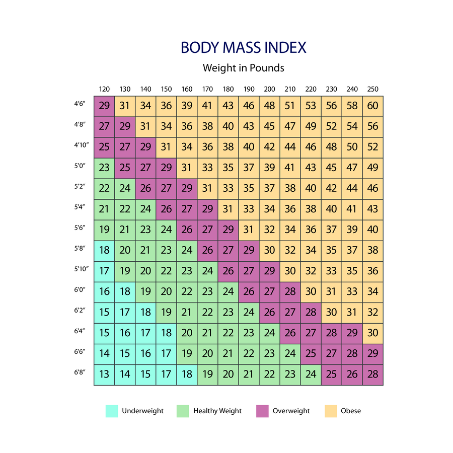 2024 BMI Chart Fillable Printable PDF Forms Handypdf