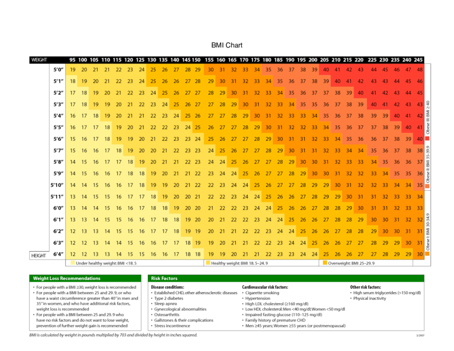 BMI Chart Sample