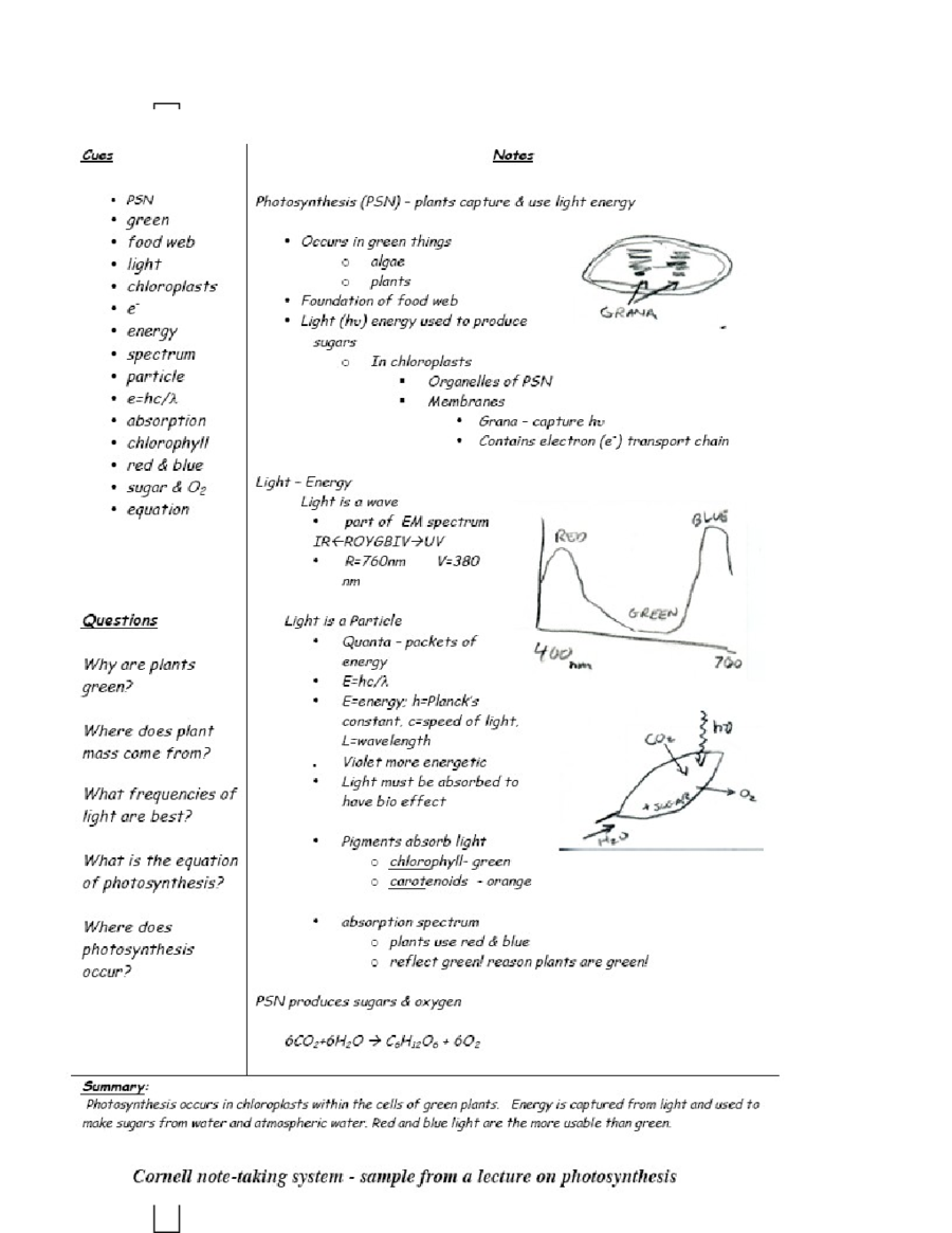 Cornell Notes Template Doc