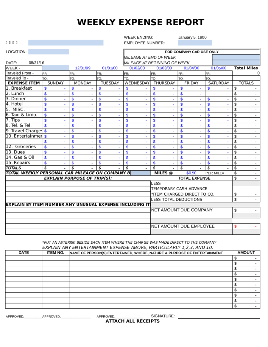 Expenses Report Form