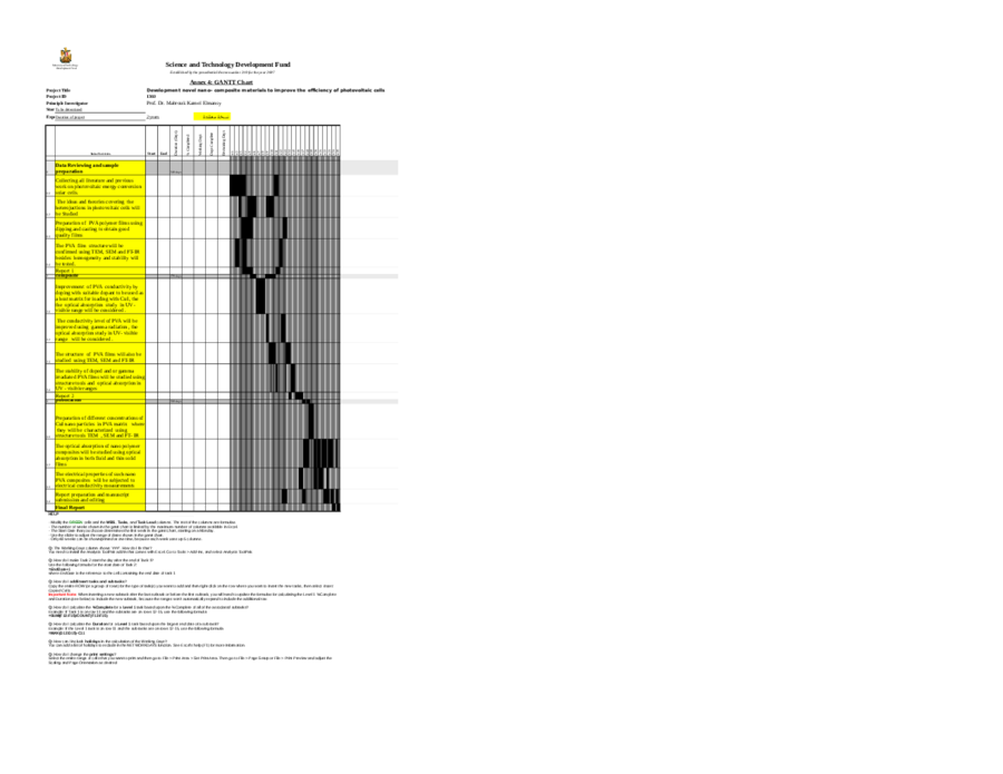 Annex 4 - Gantt Chart Template