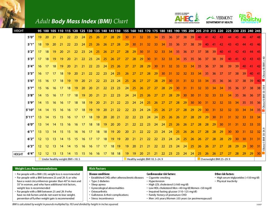 Adult Body Mass Index (BMI)Chart