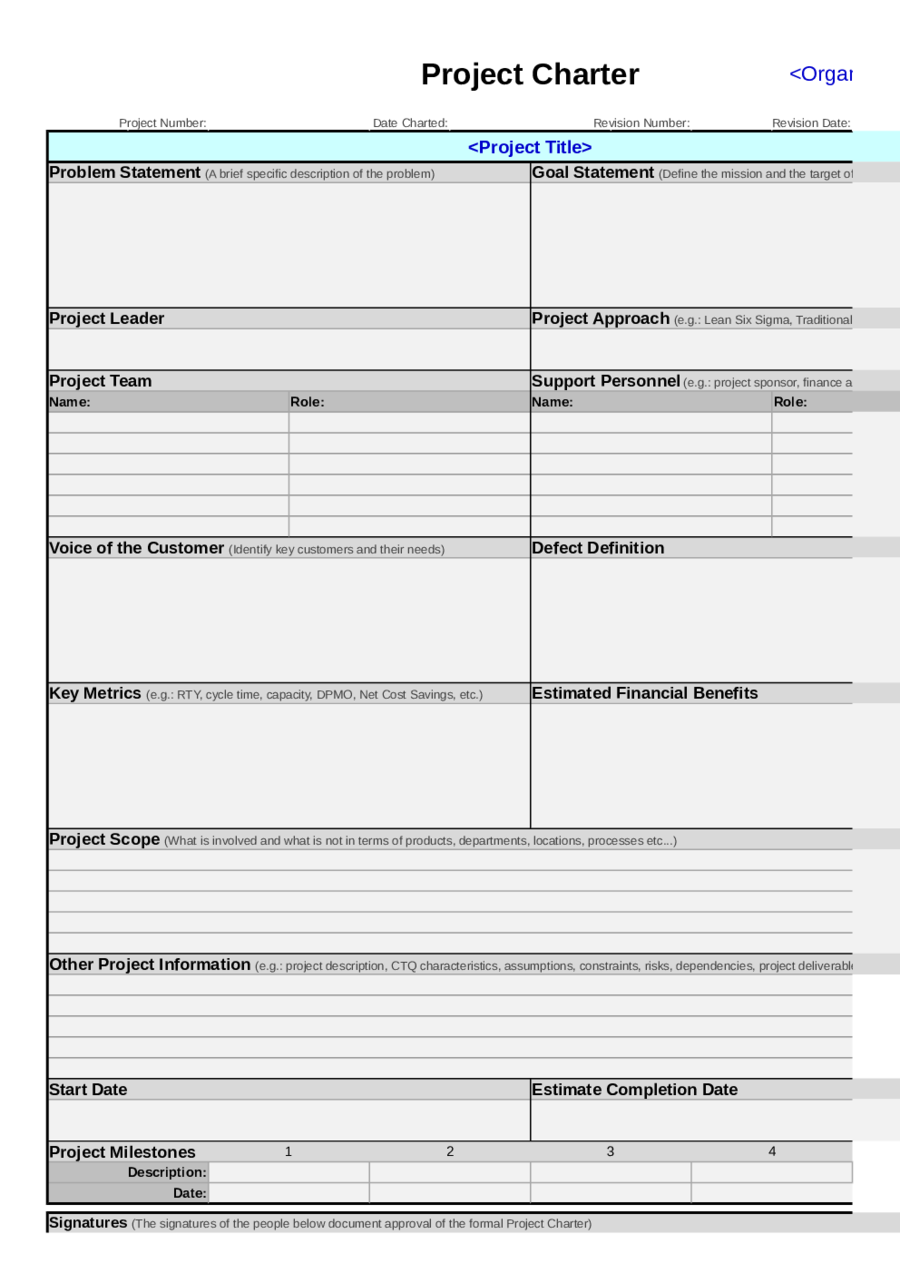 2023 Project Charter Template Fillable Printable PDF Forms Handypdf