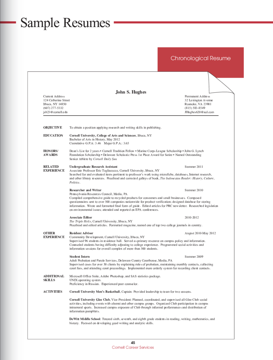 2020 Resume Objective Examples - Fillable, Printable PDF ...