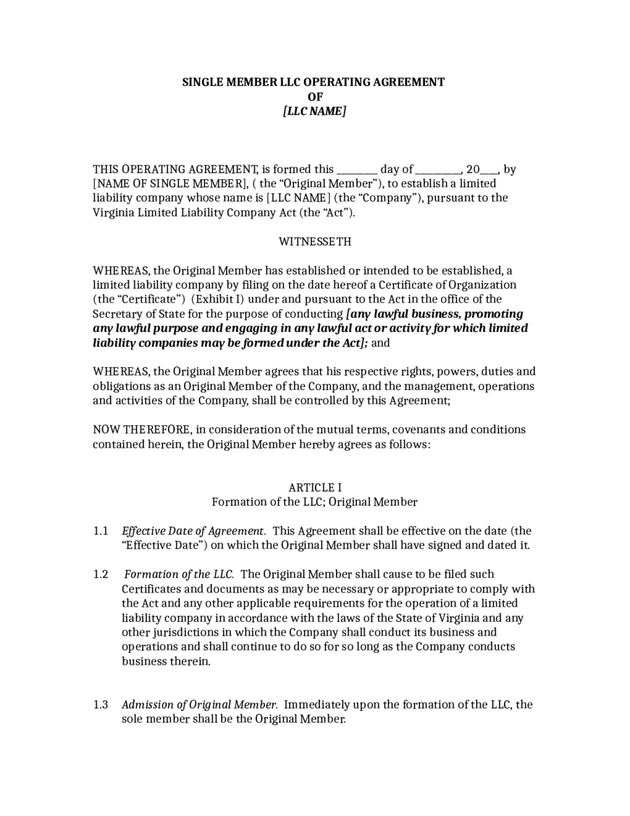 Operating Agreement For Single Member Llc Template Pdf Template 