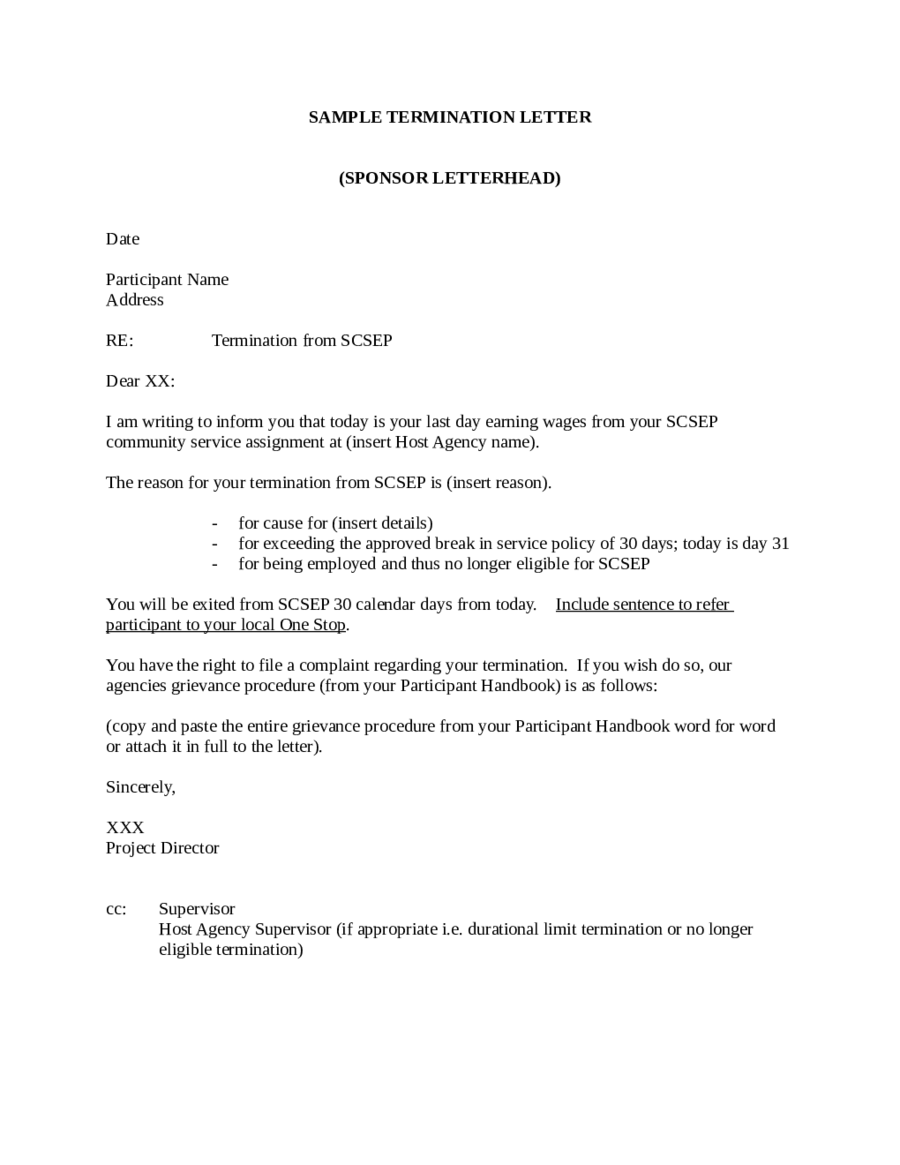 2020 Termination Letter Templates - Fillable, Printable ...