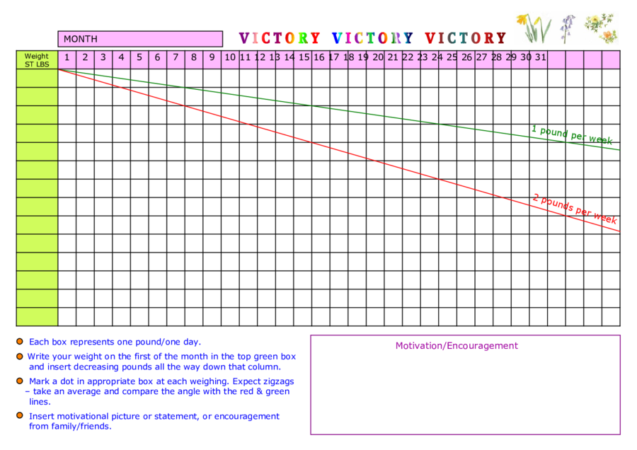 weight tracker template with graph