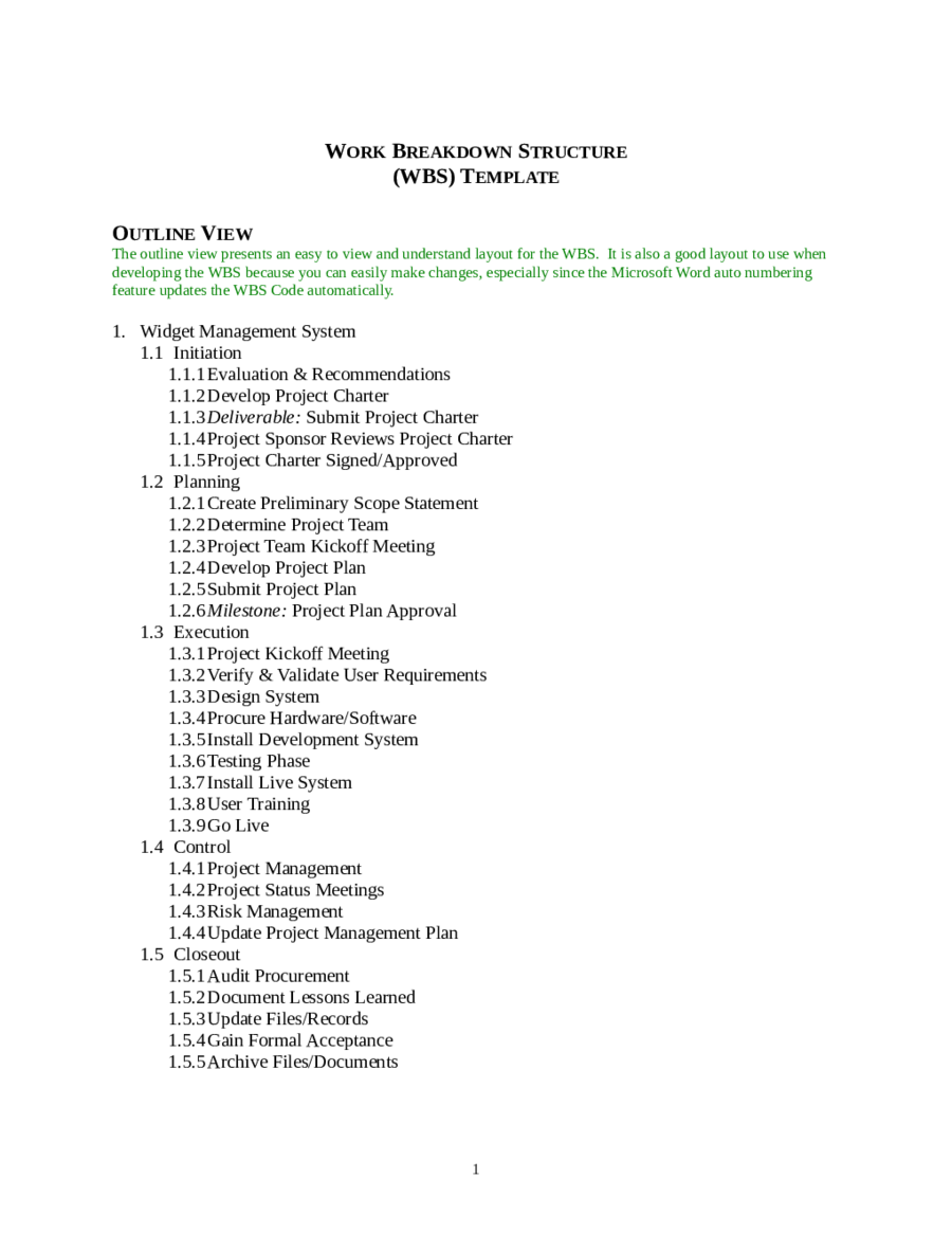 Work Breakdown Structure Template